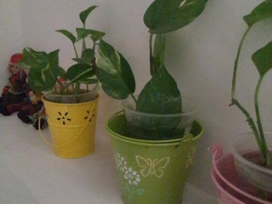 Wei 1 House - Photo2