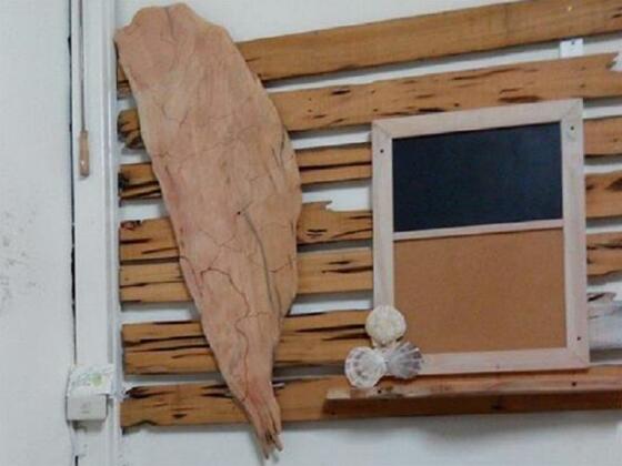 Dai Dai Homestay - Photo4