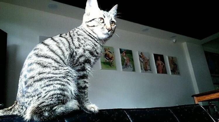 Migo B&B - Photo2