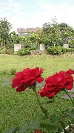 Slow Fly B&B - Photo4