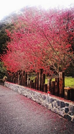 Taroko Formosa Homestay - Photo3