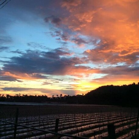 Dongguang Zhixing Homestay - Photo5