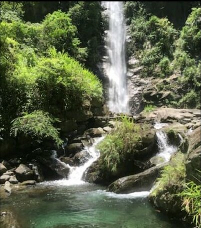 Mt River Vew & Waterfall Lodge