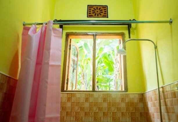 Banana Farm Eco Hostel - Photo5