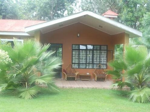 Green Dream Home - Photo2