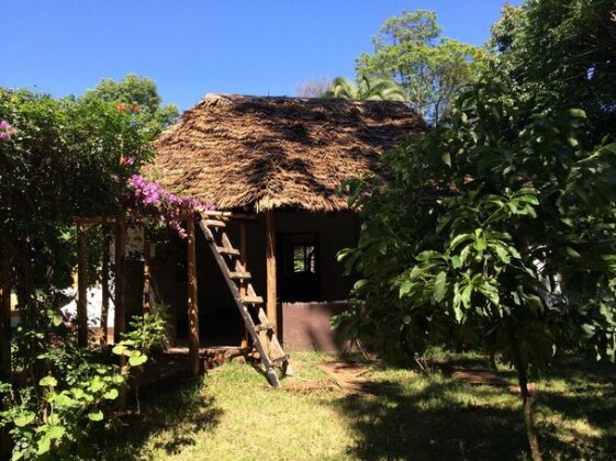 Homestay - fun Australian/African Family - Photo2