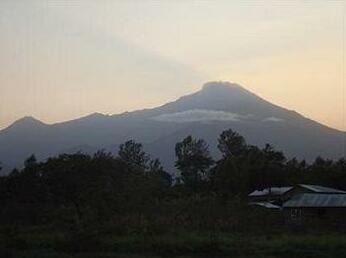 Kaswende Farm - Photo5