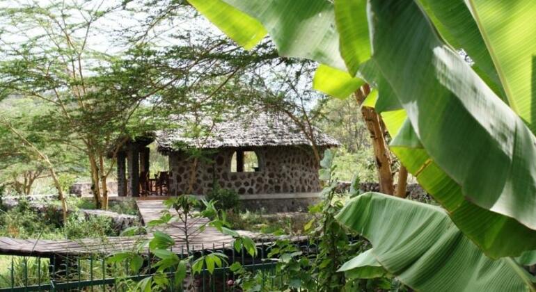 Kiboko Lodge - Photo2