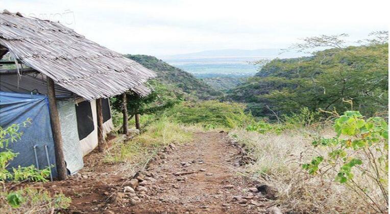 Lake Manyara Bush Camp - Photo2