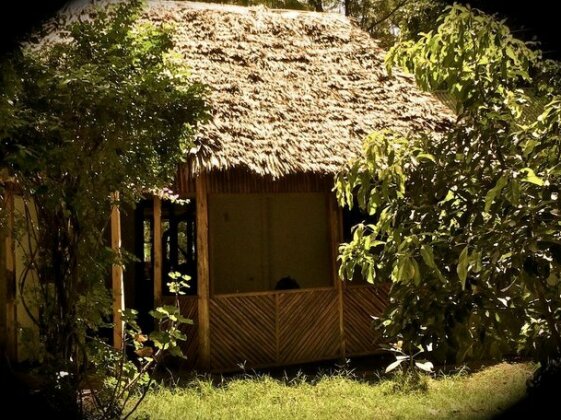 Maisha House - Photo2