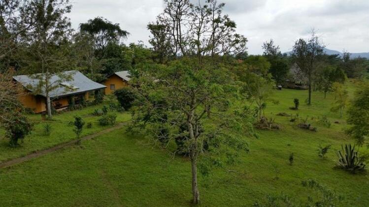 Meru Simba Lodge - Photo4