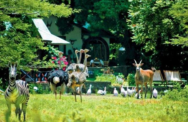 Mt Meru Game Lodge - Photo3