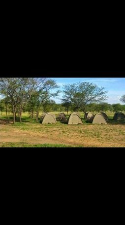 Tanzania Camping safari - Photo2