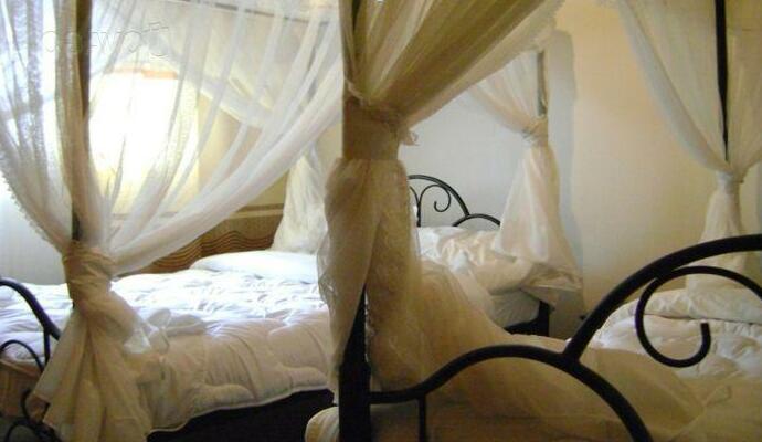 Tembo Tarangire Lodge and Camp - Photo4