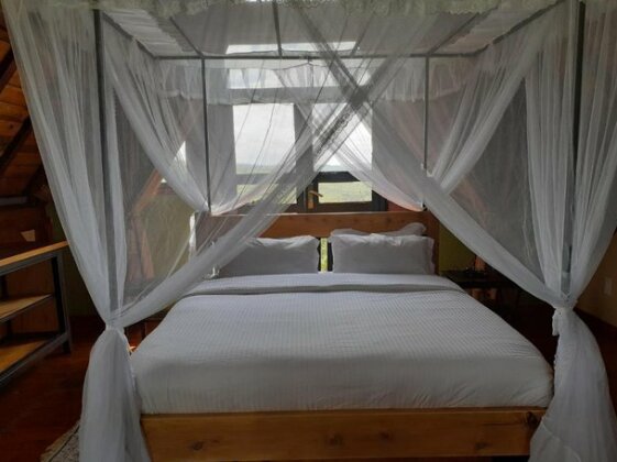 The shamba kilimamoto - Photo3