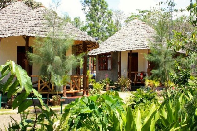 The Vijiji Center - Photo2