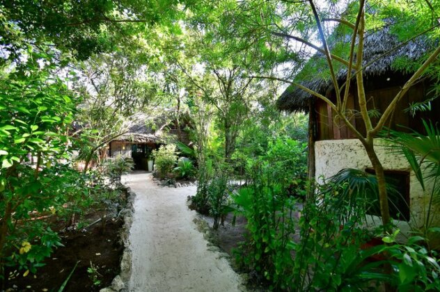 Bellevue Guesthouse - Photo4