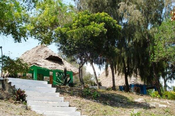 Twisted Palms Lodge & Restaurant Bwejuu - Photo4