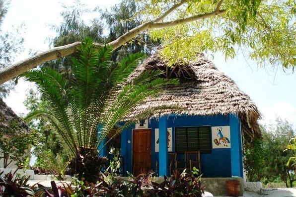 Twisted Palms Lodge & Restaurant Bwejuu - Photo5