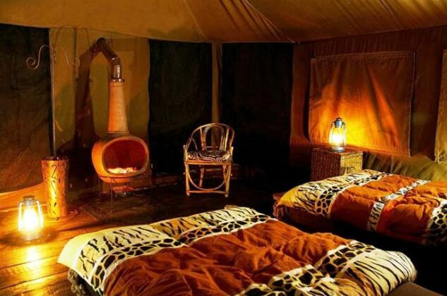 Crater Forest Tented Camp - Photo3