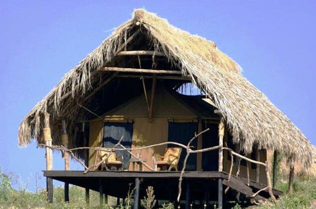 Crater Forest Tented Camp - Photo5