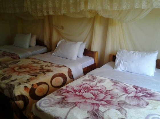 Flamingo Safari Lodge - Photo5