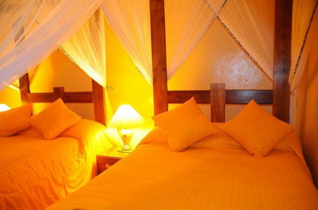 Kudu Lodge and Campsite - Photo5