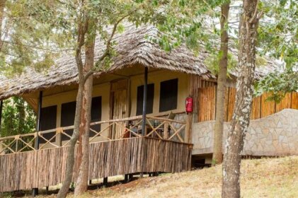Ngorongoro Forest Tented Lodge Karatu