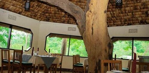 Ngorongoro Front Safari Lodge - Photo3