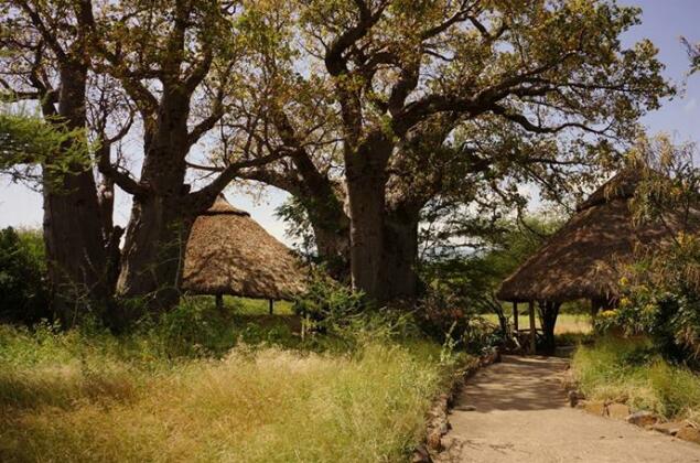 Ol Mesera Tented Camp - Photo2