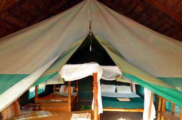Ol Mesera Tented Camp - Photo3