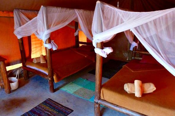 Ol Mesera Tented Camp - Photo4