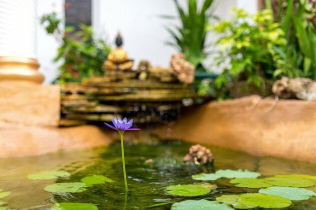 Natural Kendwa Villa - Photo3