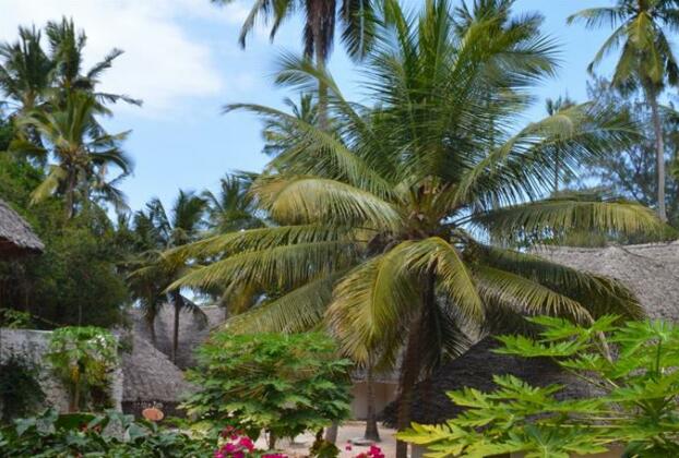 Coral Reef Zanzibar Hotel - Photo5