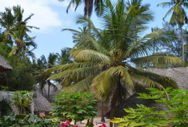 Coral Reef Zanzibar Hotel - Photo5