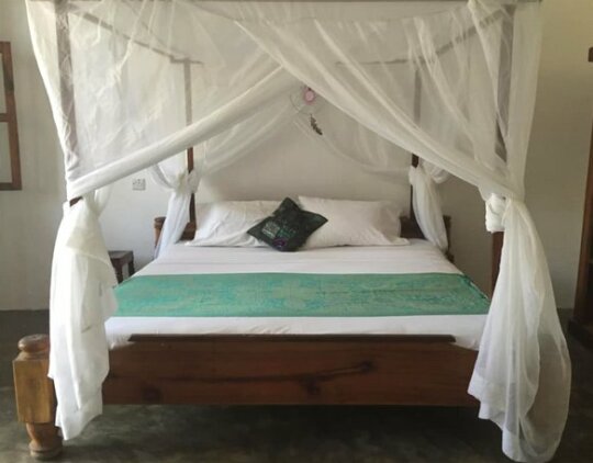 Lazy Beach House - Photo5