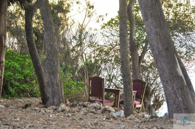 Dolphin View Lodge - Photo5