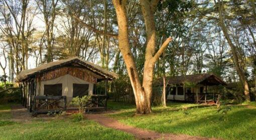 Migunga Tented Camp - Lake Manyara