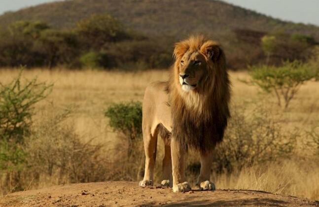 Africa Safari Selous - Photo3