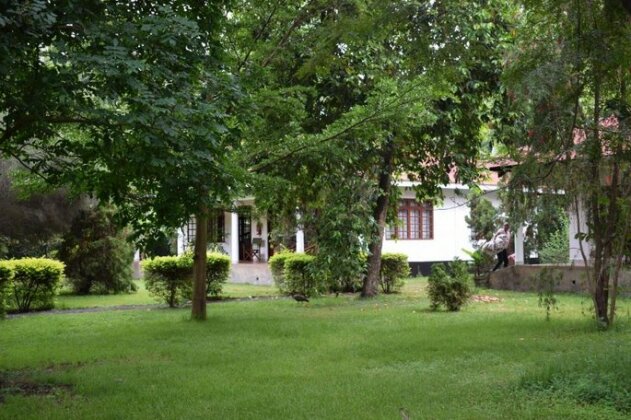 House of West Kili - Photo4