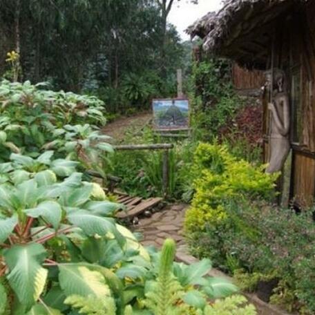 Mount Kilimanjaro View Lodge - Photo2