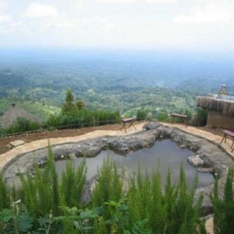 Mount Kilimanjaro View Lodge - Photo4