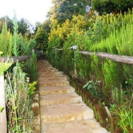 Mount Kilimanjaro View Lodge - Photo5
