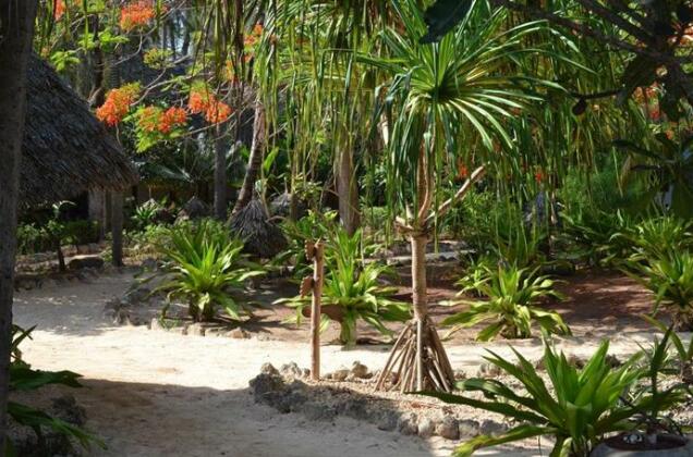 Matemwe Beach Village - Photo4