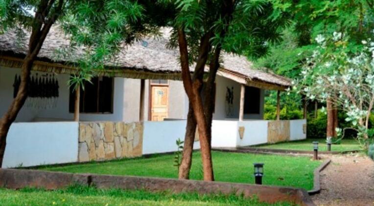 Honey Badger Lodge - Photo2