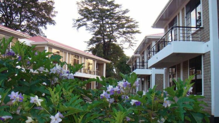 Kilimanjaro Eco Hostel - Photo2