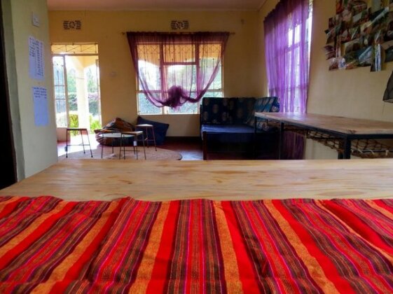 The Backyard Hostel - Photo3
