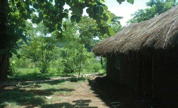 Udzungwa Forest Tented Camp - Photo4
