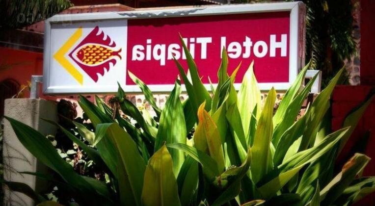 Hotel Tilapia - Photo4