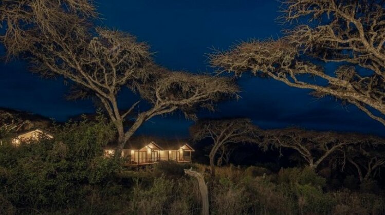 Lions Paw Ngorongoro